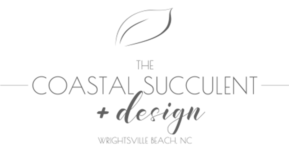 The Coastal Succulent Logo
